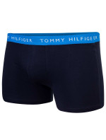 Tommy Hilfiger Spodky UM0UM023240X0 námořnická modrá