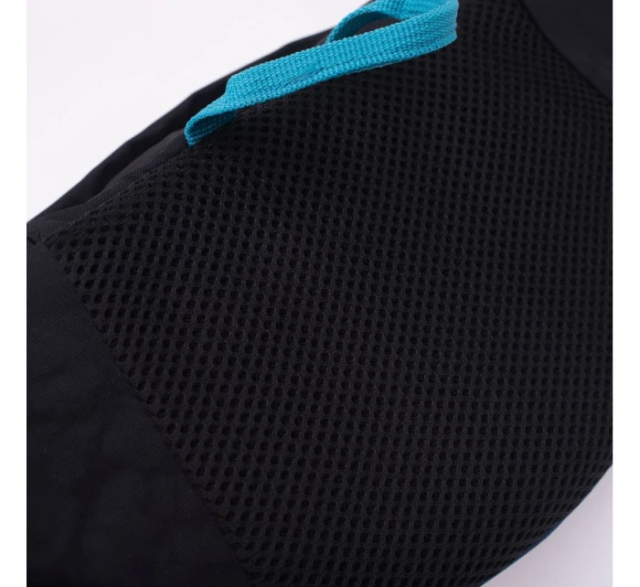 model 21356426 - Iguana