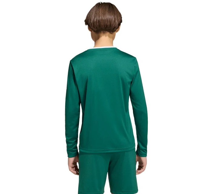 Dětský dres Entrada 26 s dlouhým rukávem zelený model 22072106 - ADIDAS Dětský dres Entrada 26 s dlouhým rukávem zelený model 22072106 - ADIDAS
