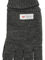 Pánské rukavice model 21488974 - Whistler