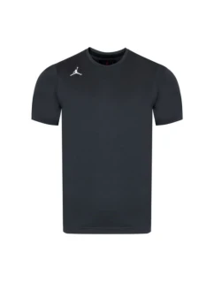 Pánské sportovní tričko Nike Jordan Air Dri-FIT Training šedé - model 21932641