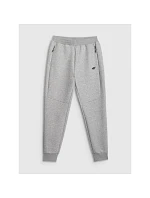 Pánské tepláky typu jogger model 22073478 - 4F