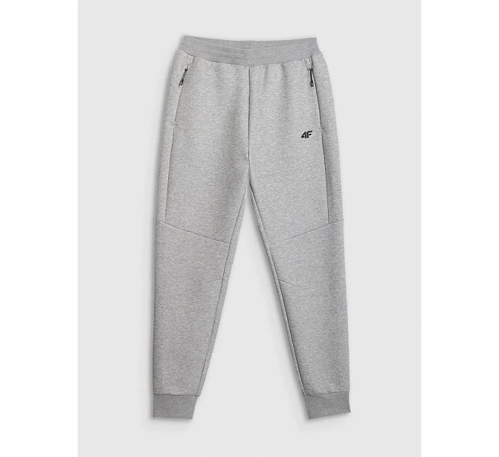 Pánské tepláky typu jogger model 22073478 - 4F