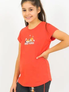 Dětské pyžamo kapri Good model 15179507 - Vienetta Secret