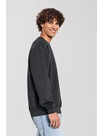 Fruit of the Loom Iconic 250 Set-In Sweat Mikina 16.2292 light graphite