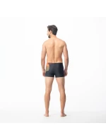 Plavecké boxerky Aquawave Adis M 92800593904 Plavecké boxerky Aquawave Adis M 92800593904