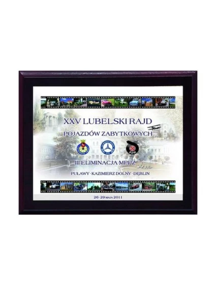 Dyplom z tworzywa sztucznego z colour model 21829380