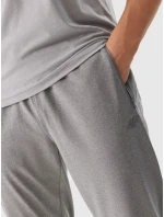 Pánské sportovní rychleschnoucí kalhoty 4F - chladné světle šedé Pánské sportovní rychleschnoucí kalhoty 4F - chladné světle šedé