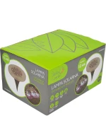 LAMPA SOLARNA 8 LED DO W model 21831135