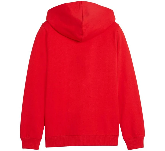 Dětská mikina Puma teamGoal Casuals červená 658596 01