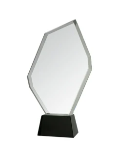 Skleněná trofej s pouzdrem