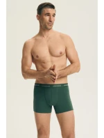 PÁNSKÉ ŠORTKY 2PACK DLOUHÉ model 21902105 - Henderson