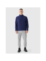 Pánský regular fleece se stojáčkem model 21433018 pánské - 4F Pánský regular fleece se stojáčkem model 21433018 pánské - 4F