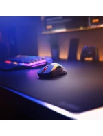 PC Gaming Race Model  RF Wireless DPI model 21491964 - Glorious