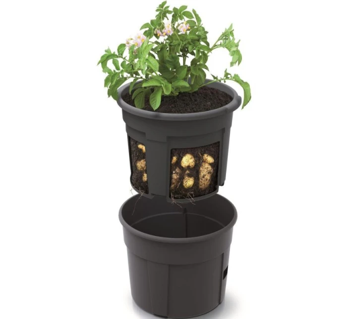 Misky na sázení brambor ¶ 39,2 cm dětské