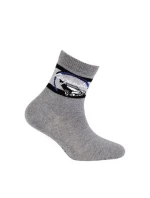 Skarpety  chłopięce wzorowane model 16127234 - Wola