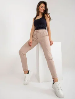 Spodnie dresowe RV DR model 19779796 ciemny bezowy - FPrice