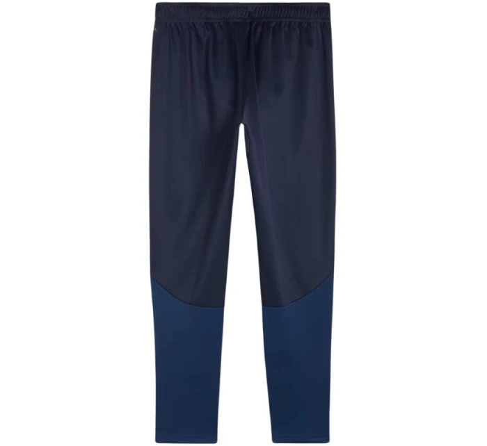 Puma Team Goal Training M kalhoty 658639 06 Puma Team Goal Training M kalhoty 658639 06