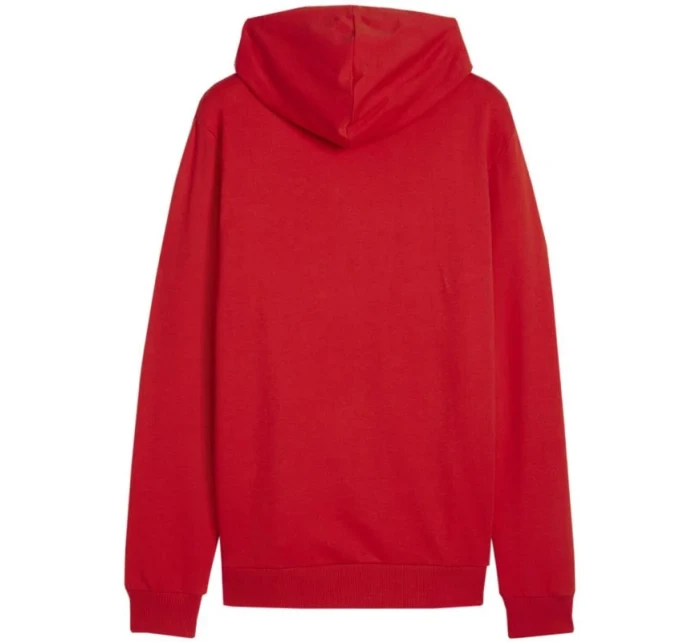 Mikina Puma Team Goal Casuals Hoody M 658618 01 pánské