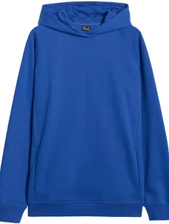 Mikina M model 21399153 36S pánské - 4F