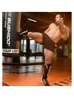 Chrániče holenních kostí M - Ninja Chrániče holenních kostí M - Ninja