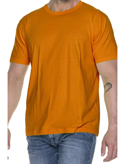 Pánské těžké tričko 21172-4XL-5XL Pánské těžké tričko 21172-4XL-5XL