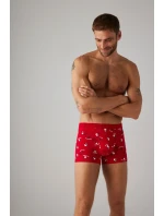 VÁNOČNÍ BOXERKY+PONOŽKY 20385