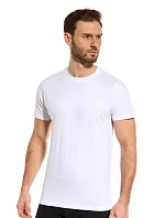 PÁNSKÉ TRIČKO TT002 PÁNSKÉ TRIČKO TT002