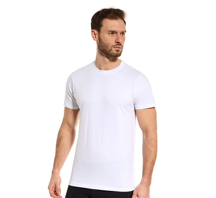 PÁNSKÉ TRIČKO TT002 PÁNSKÉ TRIČKO TT002