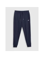 Pánské tepláky typu jogger 4F 4FRMM00TTROM1624-31S Pánské tepláky typu jogger 4F 4FRMM00TTROM1624-31S