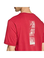 Pánské tričko Outdoor Mountain Graphic Tshirt red pánské model 22059905 - ADIDAS