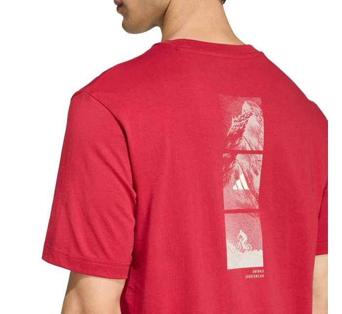 Pánské tričko Outdoor Mountain Graphic Tshirt red pánské model 22059905 - ADIDAS