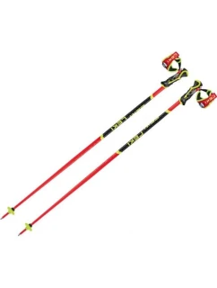 SL 3D 120 model 21443740 - Leki