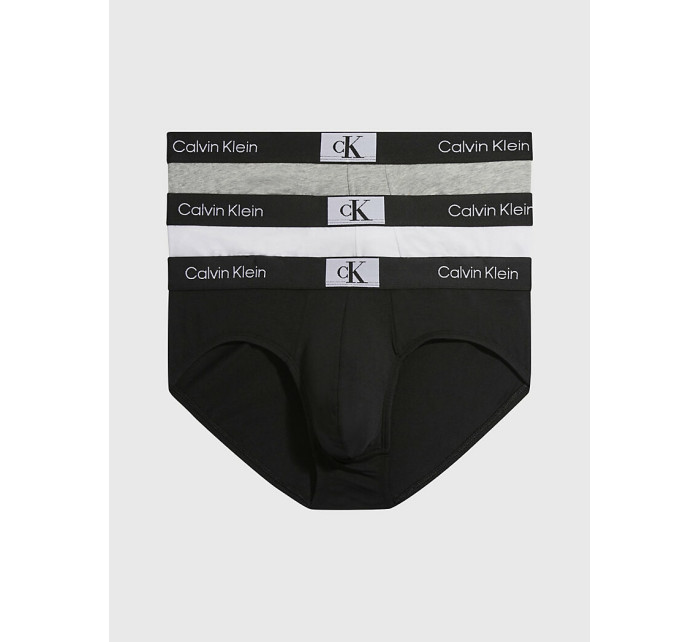 Pánské spodní prádlo HIP BRIEF 3PK 000NB3527A6H3 - Calvin Klein