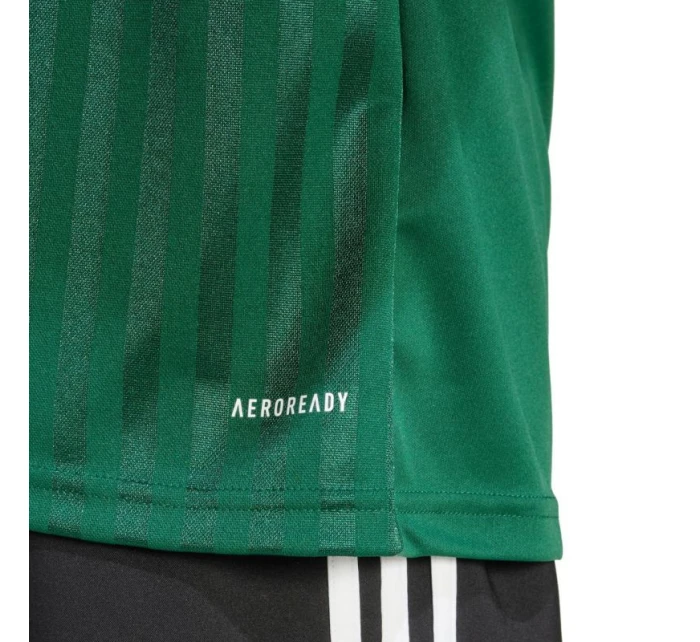 Pánské tričko adidas Campeon 25 Jersey green JF6063 pánské