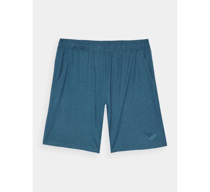 Pánské rychleschnoucí tréninkové šortky model 21432040 - 4F Pánské rychleschnoucí tréninkové šortky model 21432040 - 4F