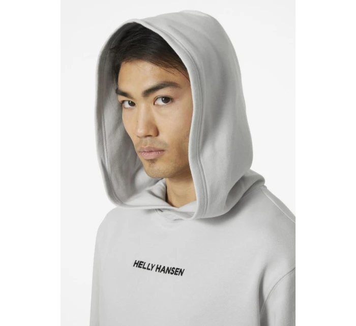 Helly Hansen Core Graphic Sweat Hoodie M 53924 825 Helly Hansen Core Graphic Sweat Hoodie M 53924 825