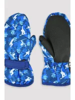 LYŽAŘSKÉ RUKAVICE RN046