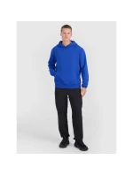 Pánská mikina s kapucí pánská model 21434968 - 4F Pánská mikina s kapucí pánská model 21434968 - 4F