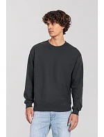 Fruit of the Loom Iconic 250 Set-In Sweat Mikina 16.2292 light graphite