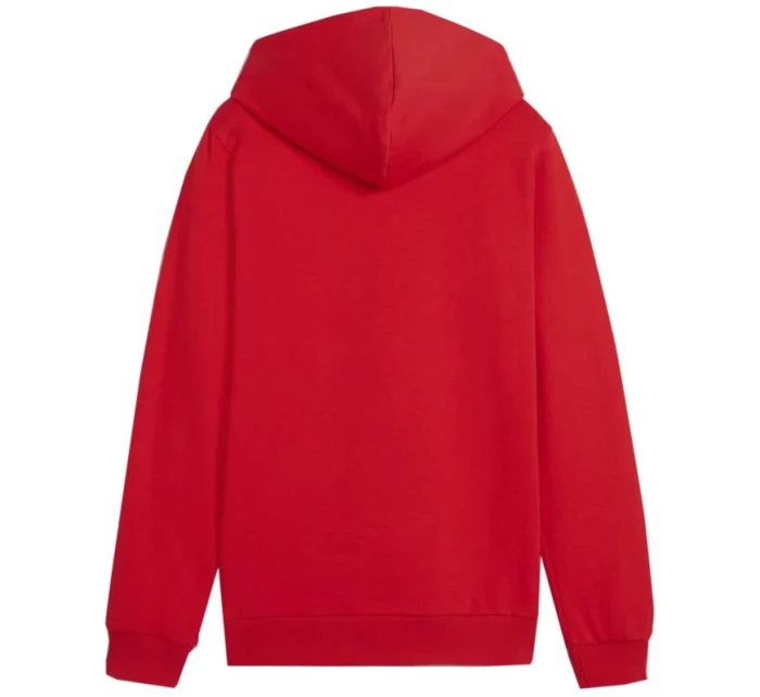 Mikina Puma Team Goal Casuals Hoddy Jr 658619 01 Mikina Puma Team Goal Casuals Hoddy Jr 658619 01