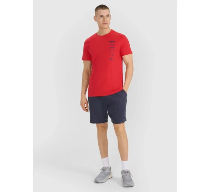 Pánské tričko s potiskem model 21815532 - 4F Pánské tričko s potiskem model 21815532 - 4F