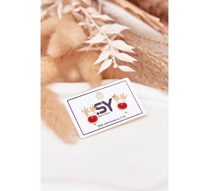 Náušnice model 21772361 ze chirurgické oceli - Boto Náušnice model 21772361 ze chirurgické oceli - Boto