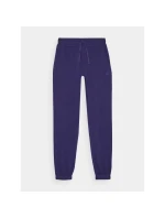 Dámské tepláky typu jogger model 21432232 - 4F Dámské tepláky typu jogger model 21432232 - 4F