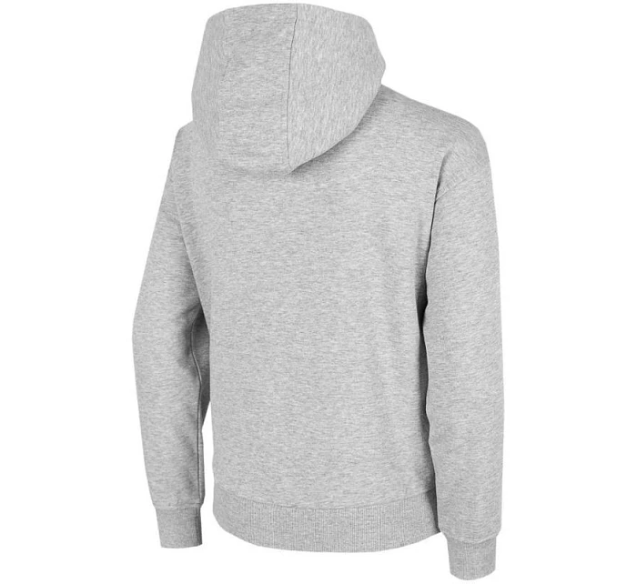 Chlapecká mikina Jr HJZ22 model 17719523 27M - 4F