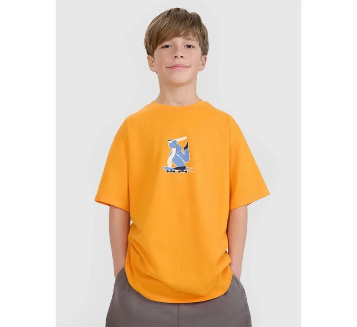 Chlapecké tričko s potiskem 4F 4FJRSS25TTSHM2641-70S