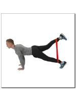 guma RED x 50 x 600 mm model 20324737 - HMS