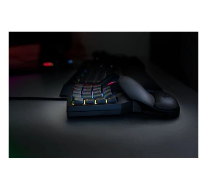 Herní klávesnice Razer Tartarus V2 s mecha-membránou Herní klávesnice Razer Tartarus V2 s mecha-membránou