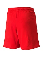 Šortky Puma teamLIGA Jr 704931 01