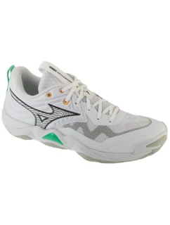 Mizuno Wave Momentum Elite V1GA251221 White 41